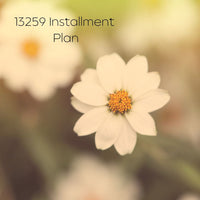 13259 Installments