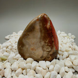 Polychrome Jasper Free Form