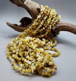 Yellow Opal Chip Beads