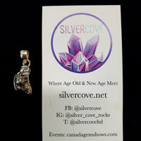 Campa Del Cielo Meteorite Sterling Silver Pendant