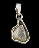 Campa Del Cielo Meteorite Sterling Silver Pendant