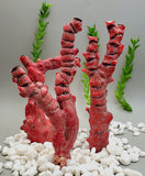 Bamboo Coral (Red)