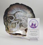 Mother of Pearl Skull Carving (half shell)