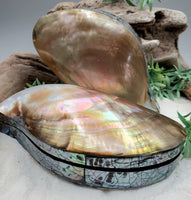 Mother of Pearl Shell Trinket Box