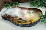 Mother of Pearl Shell Trinket Box