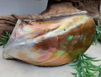 Mother of Pearl Shell Trinket Box