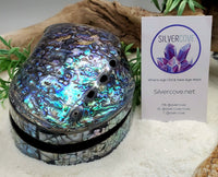 Abalone Shell Trinket Box