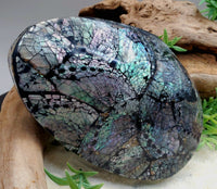 Abalone Shell Trinket Box