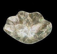 Decorative Shell Dish