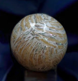 Seashell Sphere (Lrg)