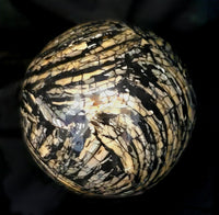 Seashell Sphere