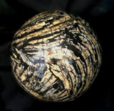 Seashell Sphere (Lrg)