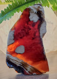 Amber slab