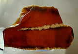 Amber slab