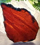 Amber slab