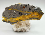 Bumblebee Jasper Slab