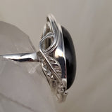 Canadian Sapphire Ring in .925 Sterling Silver (size7.5)