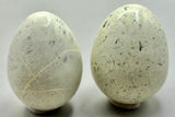 Serpentine Egg