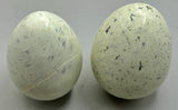 Serpentine Egg