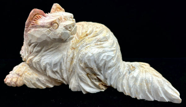 Fossilized Coral Cat Carving