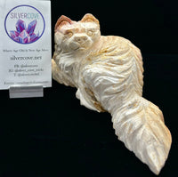 Fossilized Coral Cat Carving