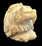 Fossilized Coral Cat Carving