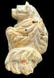 Fossilized Coral Cat Carving