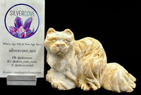 Fossilized Coral Cat Carving