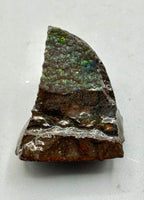 Polished Ammolite Specimen