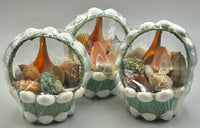 Green Sea Shell Basket