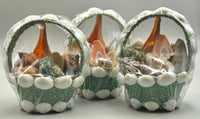 Green Sea Shell Basket