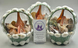 Green Sea Shell Basket