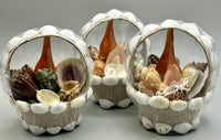 Tan Sea Shell Basket