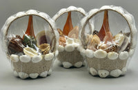 Tan Sea Shell Basket