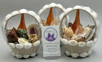 Tan Sea Shell Basket