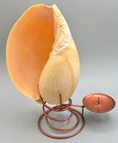 Indonesian Shell Candle Holder