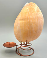 Indonesian Shell Candle Holder