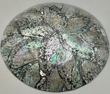 Australian Abalone Shell Plate (Medium)