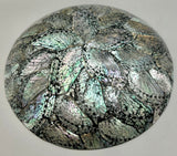 Australian Abalone Shell Plate (Large)