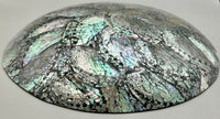 Australian Abalone Shell Plate (Large)