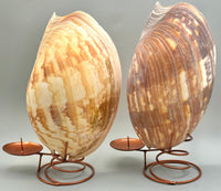 Indonesian Shell Candle Holder (Large)