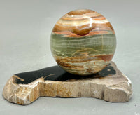 Petrified Wood Sphere Holders