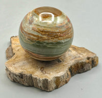 Petrified Wood Sphere Holders