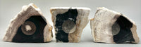 Petrified Wood Sphere Holders