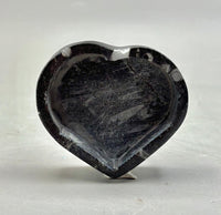 Polished Orthoceras Heart Box