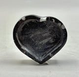 Polished Orthoceras Heart Box