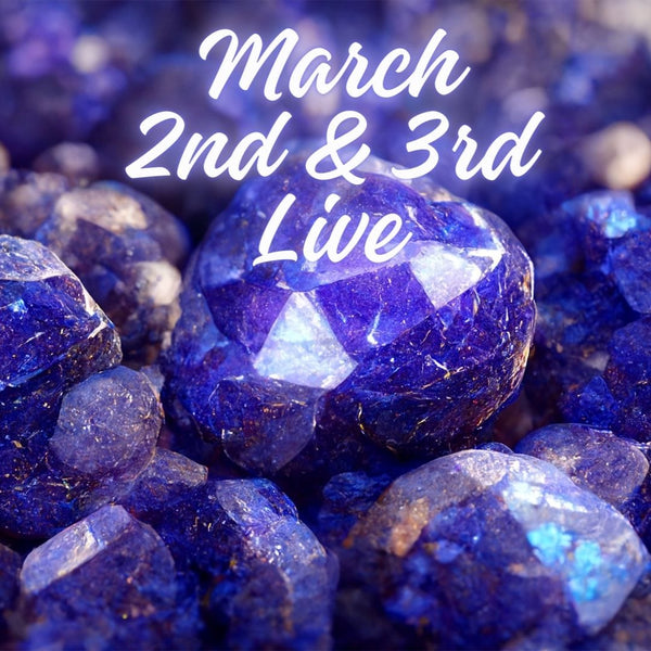 12500 March 2nd & 3rd Live 2024