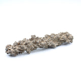 Fulgurite Specimen