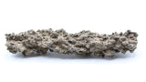 Fulgurite Specimen