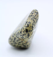 Dalmatian Jasper Free-Form